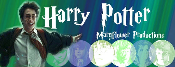 harrypottertitle2.jpg